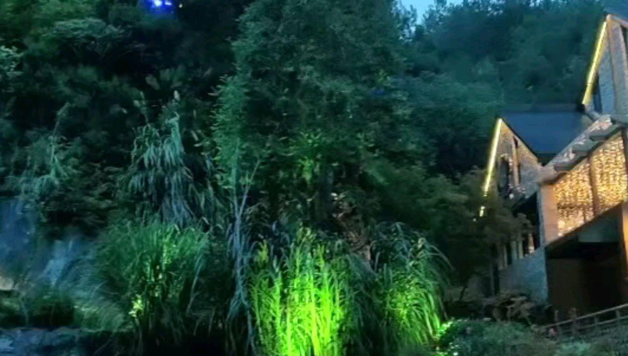 独步竹林